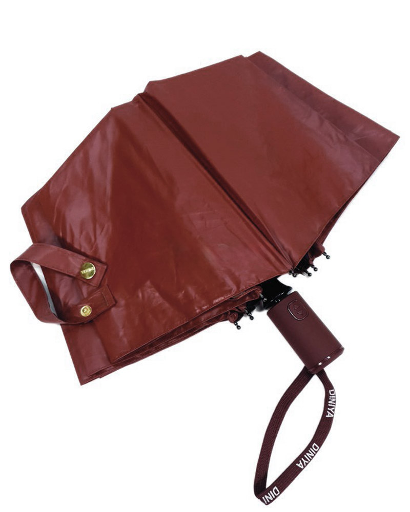 ЗА-3007 Зонт женский автомат